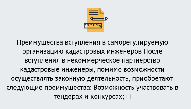 Почему нужно обратиться к нам? Трёхгорный Что дает допуск СРО кадастровых инженеров?