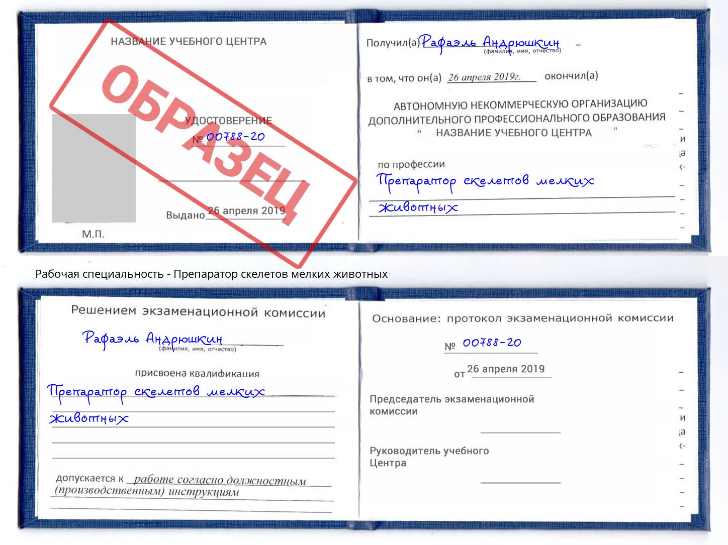 Препаратор скелетов мелких животных Трёхгорный