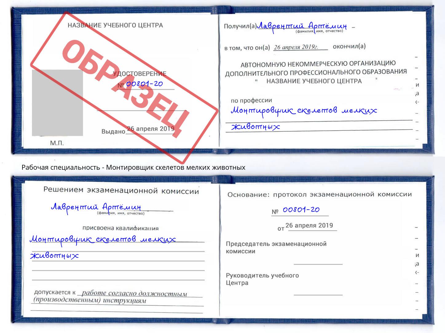 Монтировщик скелетов мелких животных Трёхгорный