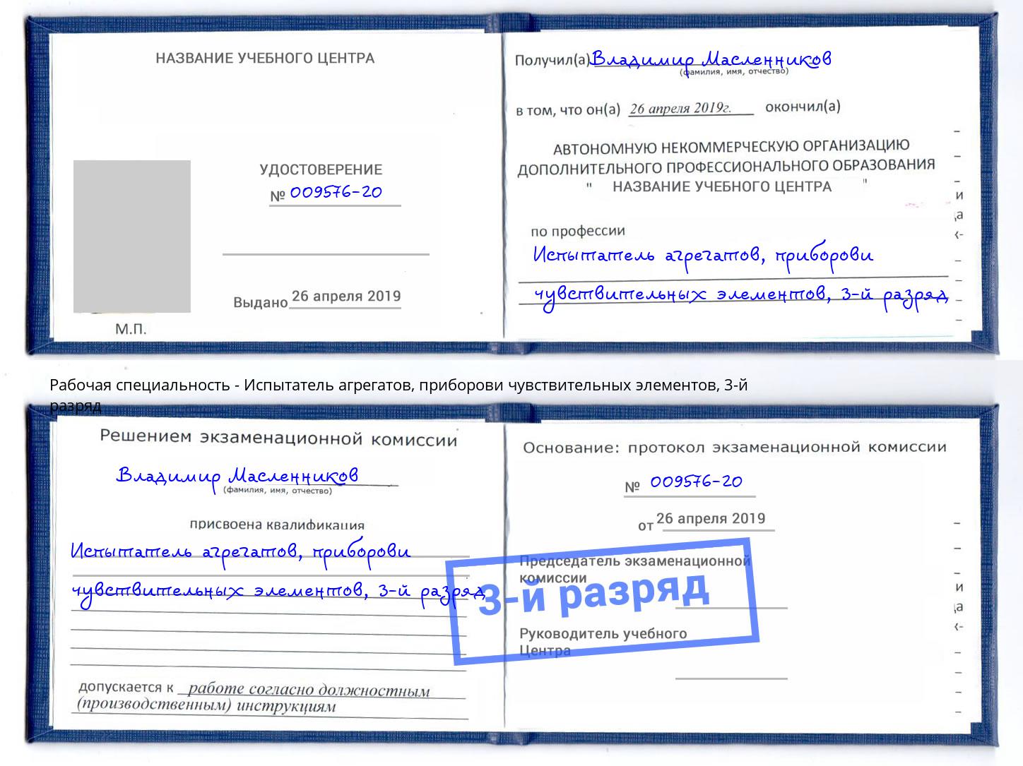 корочка 3-й разряд Испытатель агрегатов, приборови чувствительных элементов Трёхгорный