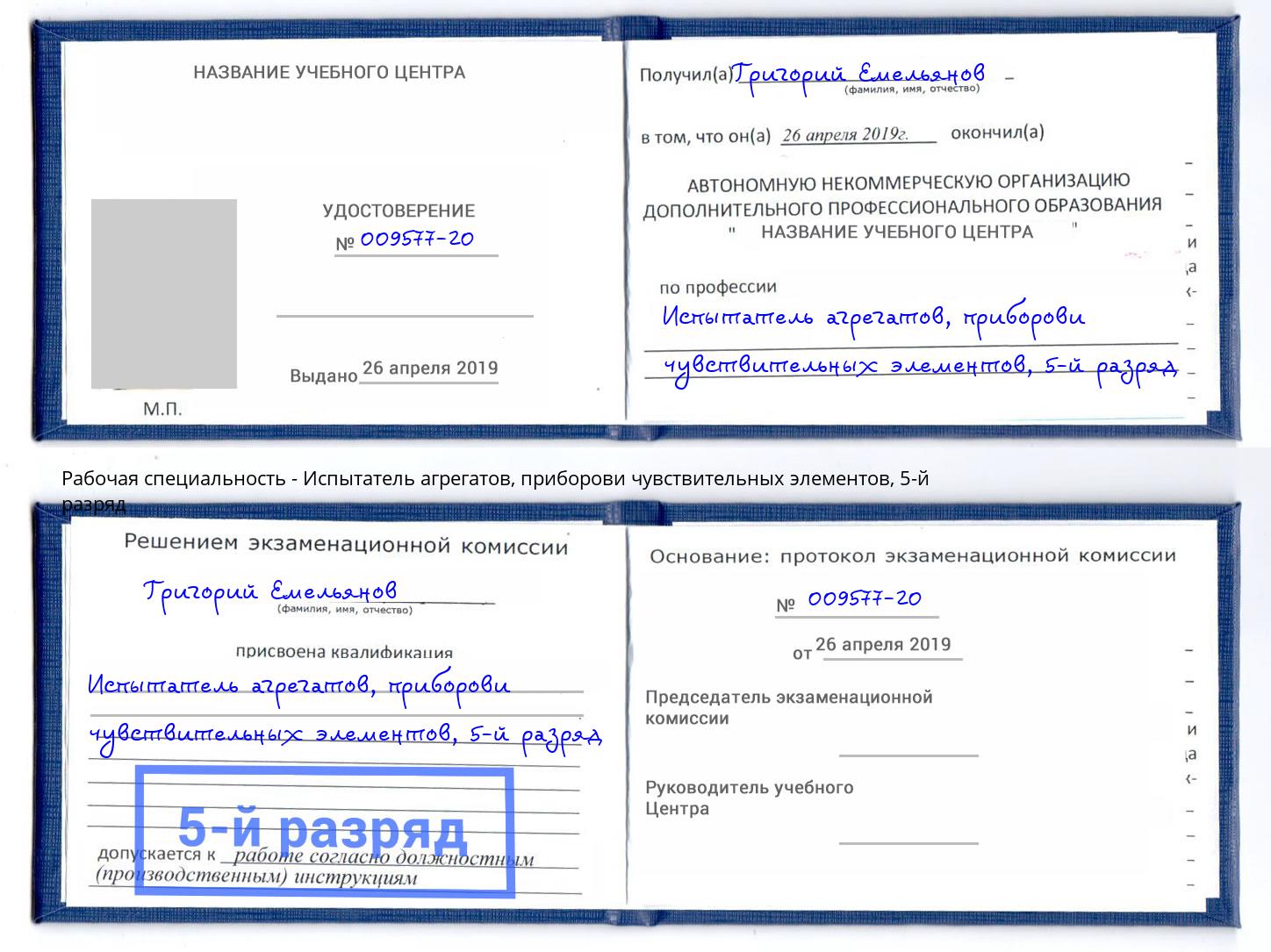 корочка 5-й разряд Испытатель агрегатов, приборови чувствительных элементов Трёхгорный