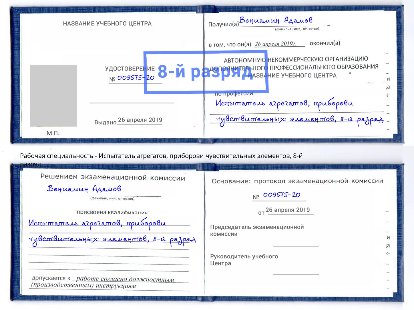 корочка 8-й разряд Испытатель агрегатов, приборови чувствительных элементов Трёхгорный